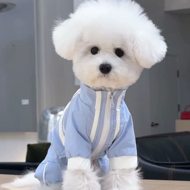 Supplier photo of Waterproof Four-Legged Dog Jacket Harness Compatible Raincoat For Small Breeds Like Schnauzer