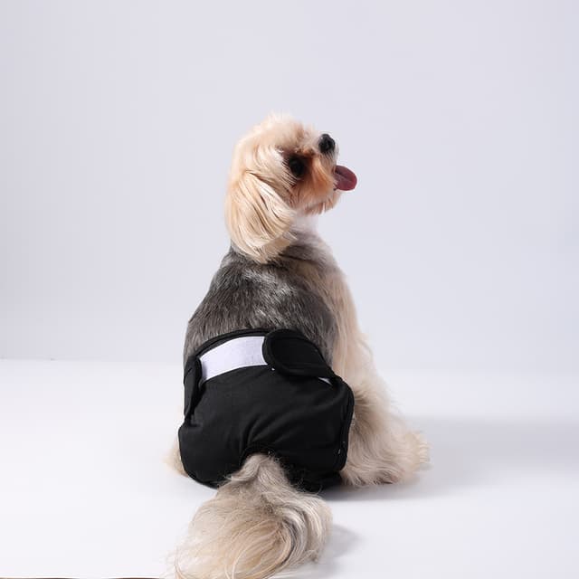 Supplier photo of Dog Dog Leak-proof Diapers Anti-harassment Safety Pants
